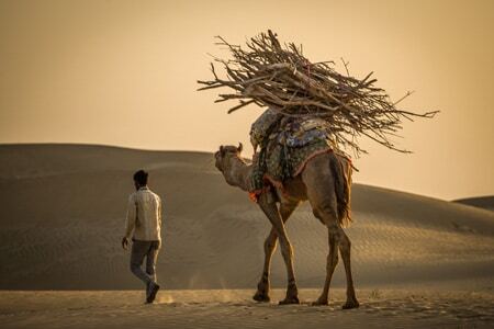 Viaje Fotografico grupal India con Nacho Marlats tour en camello en desierto de thar jaisalmer Los Fotonautas