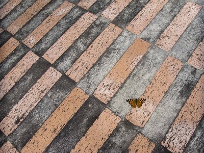 Foto Ganadora Primer Premio Naturaleza Urbana Fotonaratón 2020