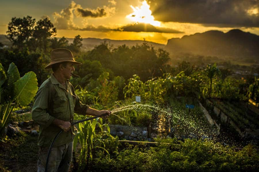 Viaje Fotográfico Cuba Viñales Retrato Guajiro Campesino Nacho Marlats Fotografía de Viajes