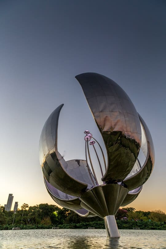 Floralis generica buenos aires