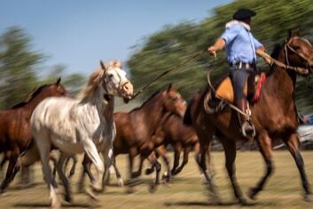 Viaje Fotografico Buenos Aires Argentina Los Fotonautas gauchos a caballo